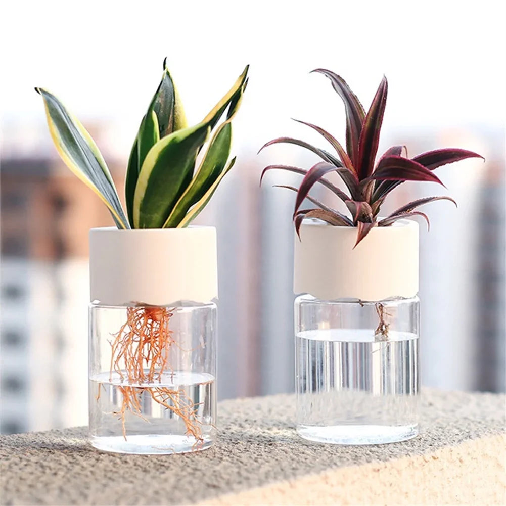 Mini Maceta Hidropónica – Decoración Transparente para el Hogar