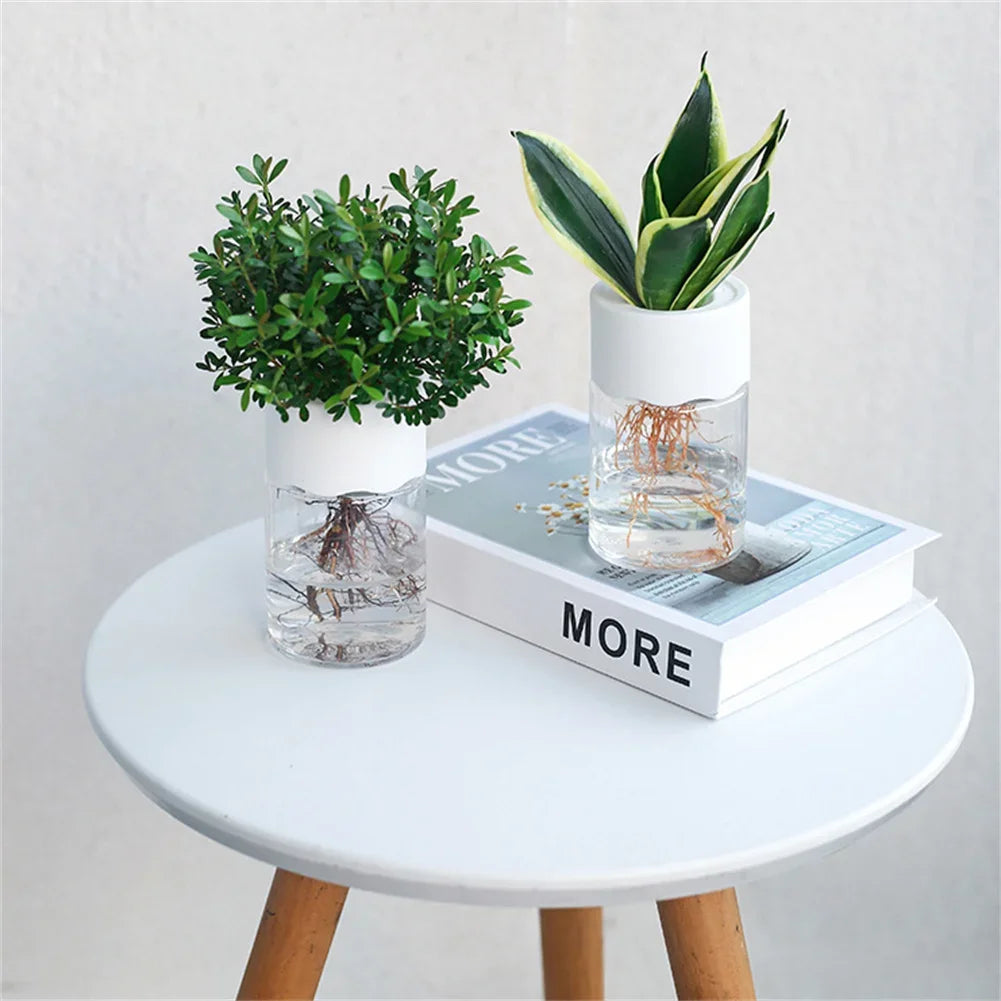 Mini Maceta Hidropónica – Decoración Transparente para el Hogar