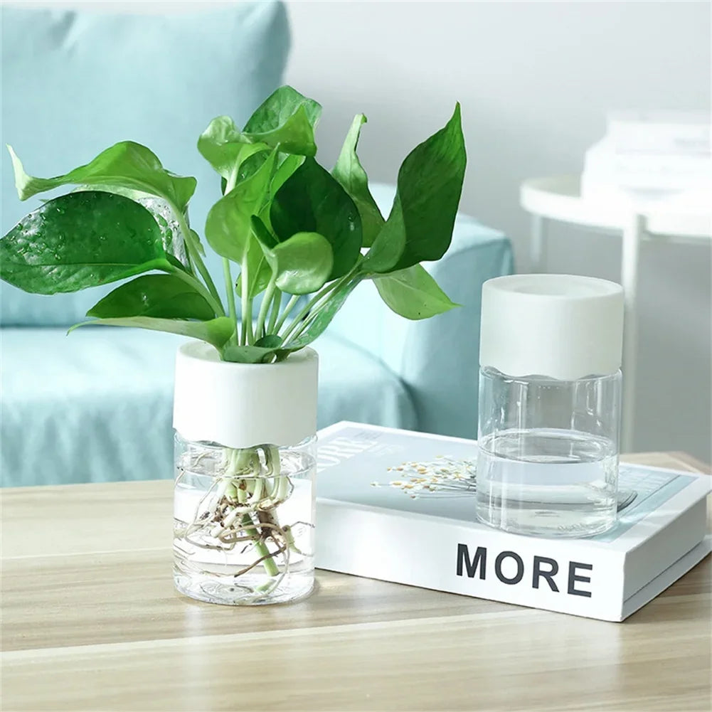 Mini Maceta Hidropónica – Decoración Transparente para el Hogar
